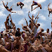 DANTE radioattivo e rock con le foto di Claudia Rogge e l’installazione multimediale di Raffaele Curi