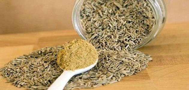 Benefits of cumin for rumen