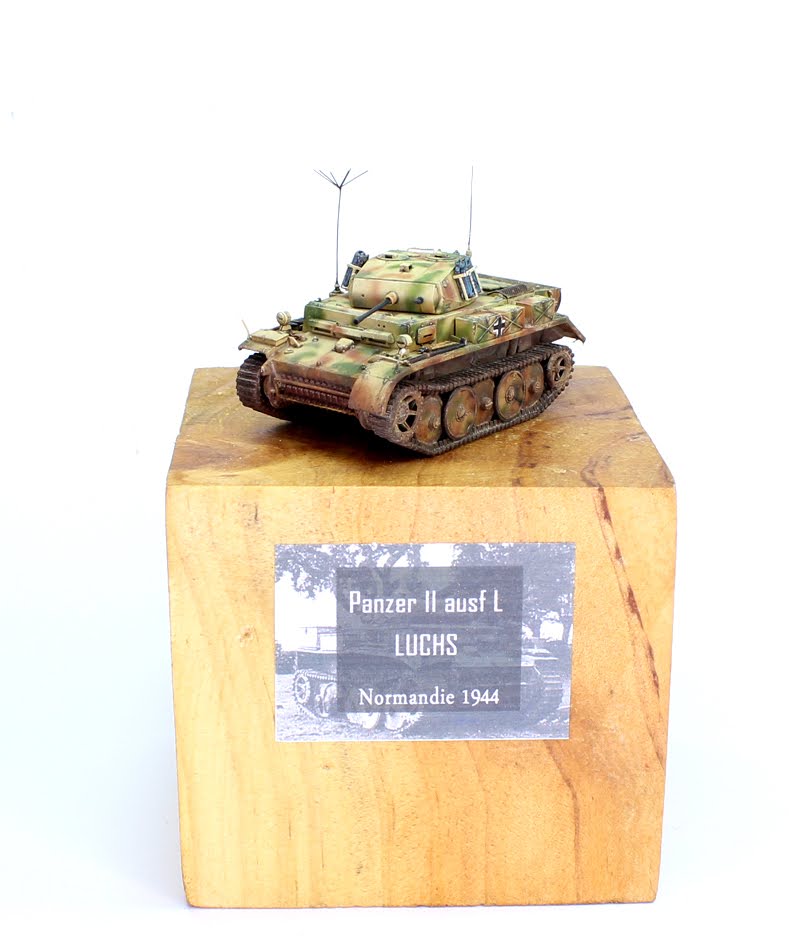 Panzer II ausf L LUCHS [TERMINE] IMG_9434