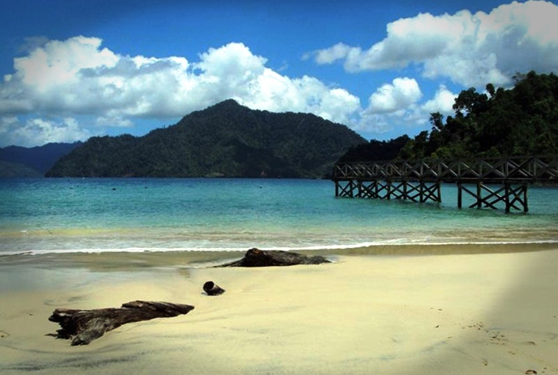 Pantai Pasir Putih Trenggalek Tempat Wisata Menarik Di