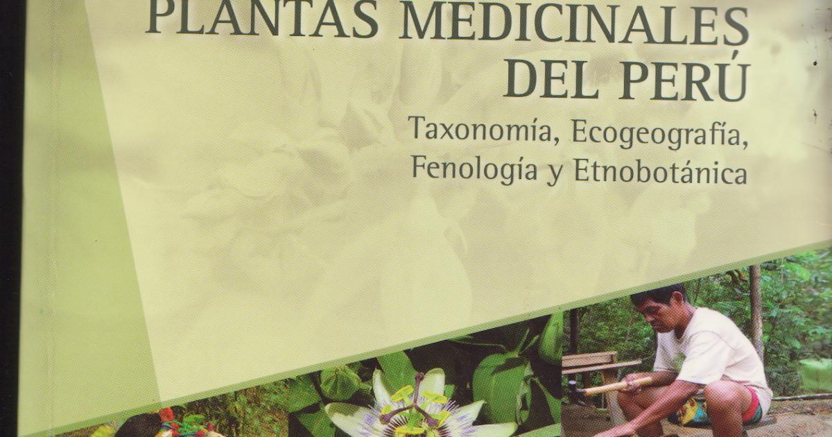 Perubiologos Plantas Medicinales Del Peru
