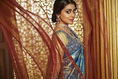 Cute Looking Shriya Saran in Sarees