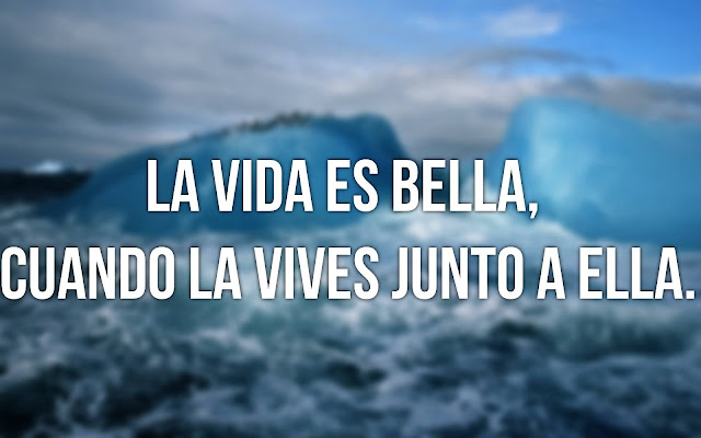 frases hermosas de la vida