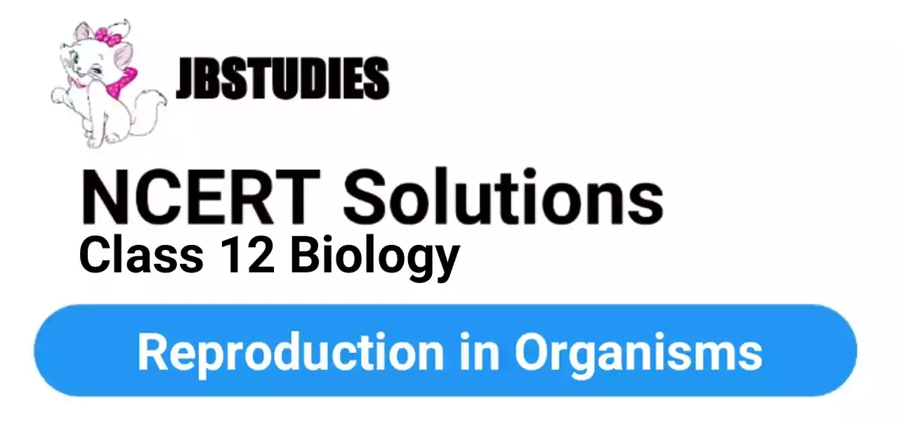 Solutions Class 12 Biology Chapter-1 (Reproduction in Organisms)