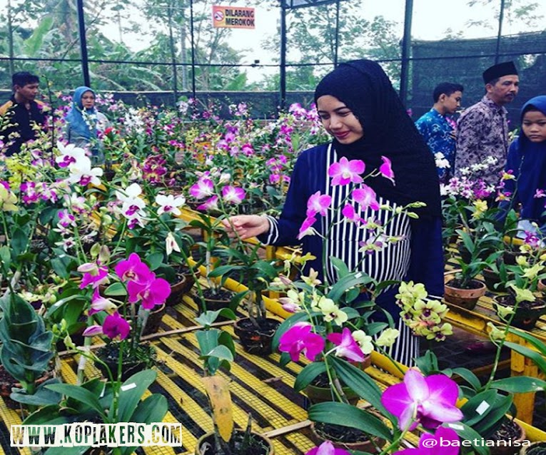 Kampung Anggrek Wisata Cantik Di Lereng Gunung Kelud