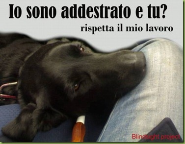 caneguida