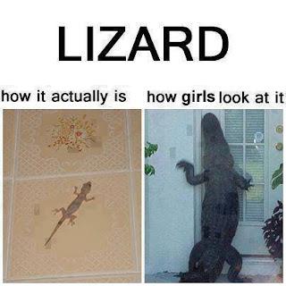 a lizard is standing on the door like a girl