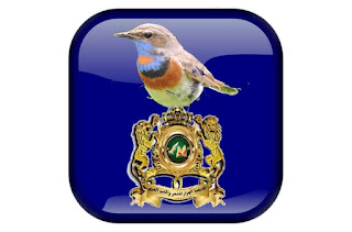 صورة