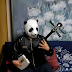 Panda Plays Jimi Hendrix on Shamisen HEY JOE! 