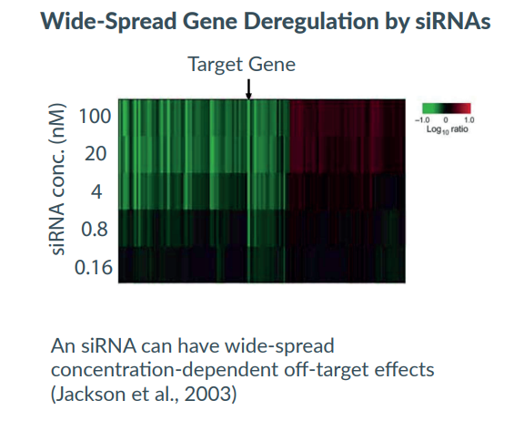 Wide-Spread Gene Deregulation by siRNAs