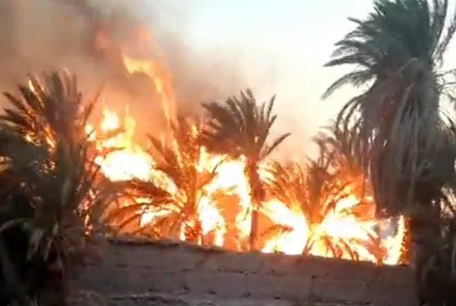 الجهود متواصلة لإخماد حريق شب بواحة إمي أوكادير بفم الحصن
