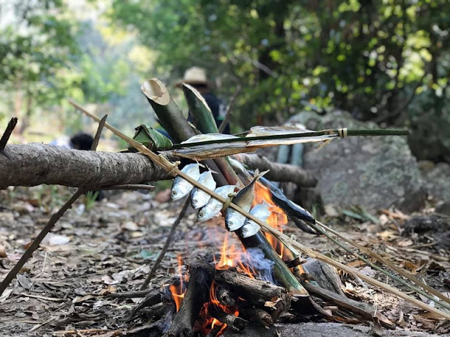 trek in mae wang area, trekking in mae wang area, trek in mae wang national park, trekking in mae wang national park, chiang mai trekking, trekking in chiang mai