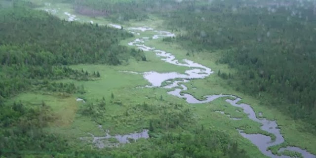 Tempat Paling Basah Di Dunia