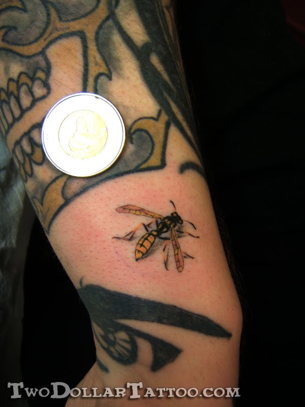 Two Dollar Yellow Jacket Tattoo By Boris