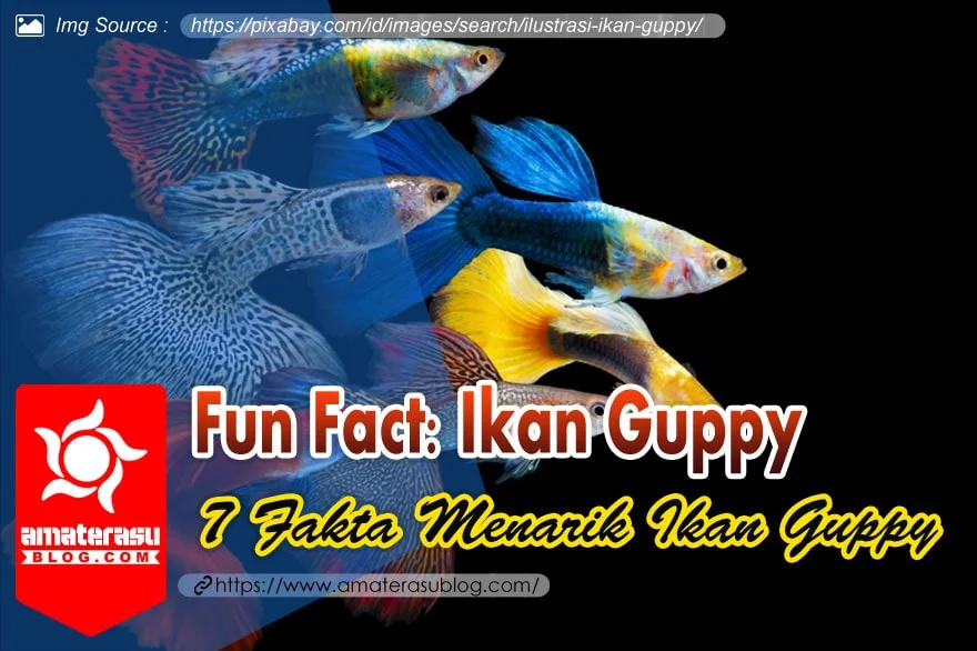 7-fakta-menarik-tentang-ikan-guppy