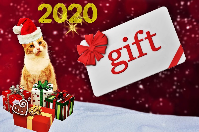 Get Your Gift Card Now -2020!