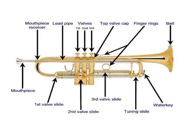 How many valves does a Trumpet have?