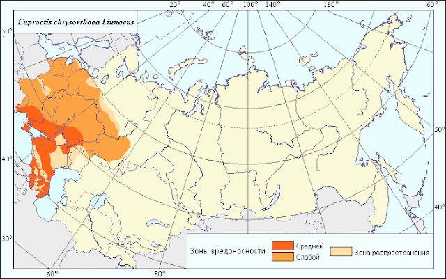 Карта распространения златогузки