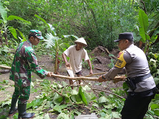 Bhabinkantibmas Kalurahan Jatirejo Evakuasi Pohon Tumbang