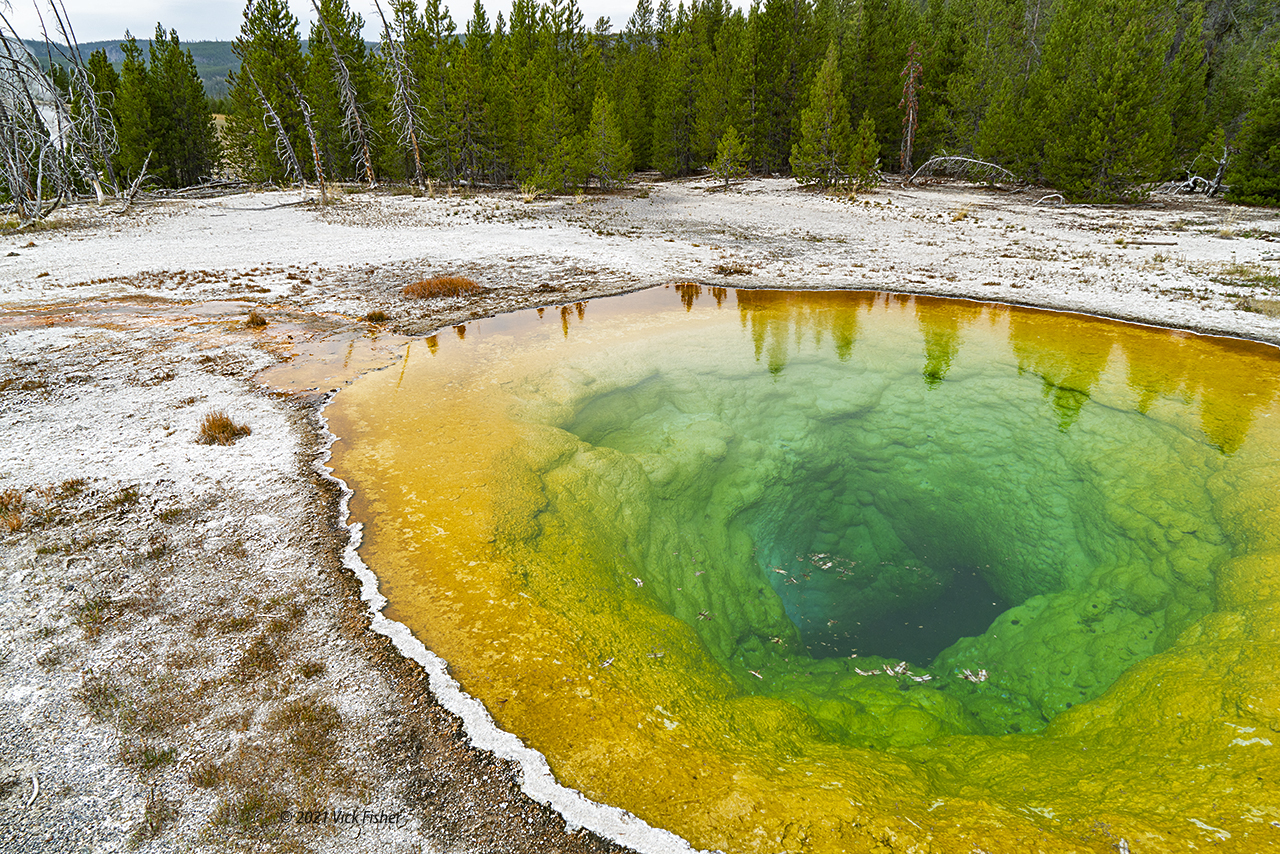 Copyright 2021 Vick Fisher Yellowstone National Park spring geyser nature wilderness vivid colorful water