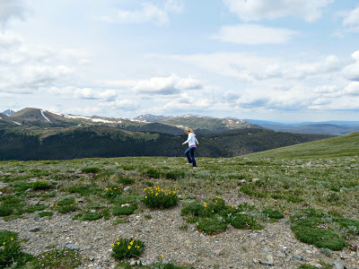 Ute Trail, Ute Indian Trail @ Alpine Visitor Center, Rocky Mountain National Park, CO www.thebrighterwriter.blogspot.com #RMNP #ColorfulColorado #Colorado