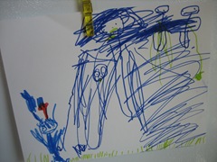 IMG_0113 IMG_0113