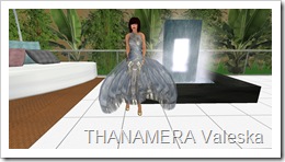 Snapshot_050
