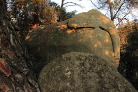 ELEFANTE RUTA PREHISTÒRICA