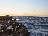 20051023-4.jpg