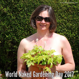 French Village Diaries World Naked Gardening Day 2019