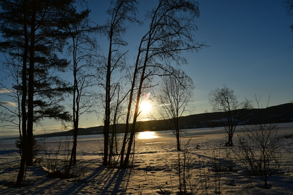 røsholmstranda hvit gjeterhund solnedgang