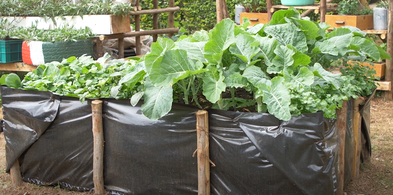 Moist bed kitchen garden