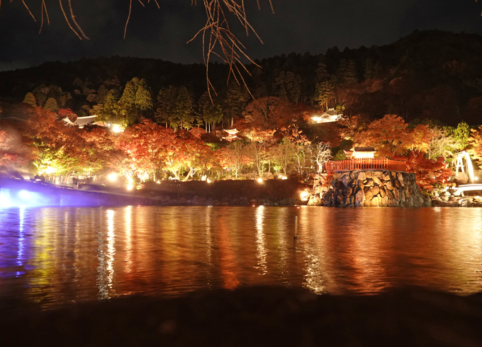 勝尾寺のライトアップ
