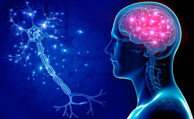 Multiple Sclerosis Therapeutics Market