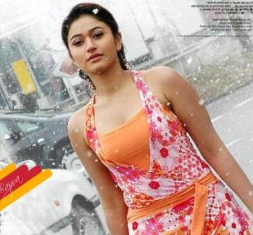 Poonam Bajwa Hot Wallpapers, Telugu Actress Poonam Bajwa Sexy Photos & 