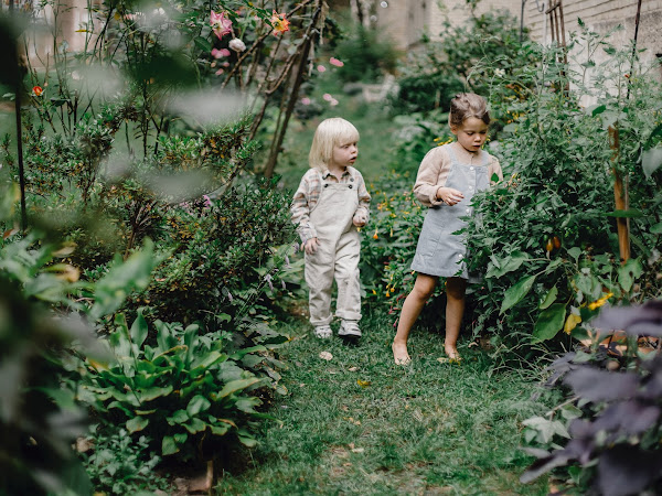 Creative Garden Upgrades Worth Trying Out