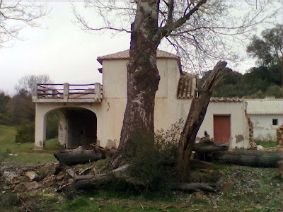 quinteria, fuente del umbrio, madridejos