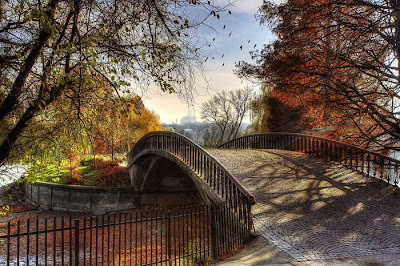 Cool and Beautiful Scary Bridges