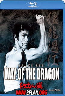 مشاهدة فيلم بروسلى The Way of the Dragon 1972 مترجم اون لاين و تحميل مباشر