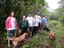 FDS Ecãologico 4 (469)