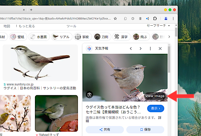 View Image Button Chrome拡張