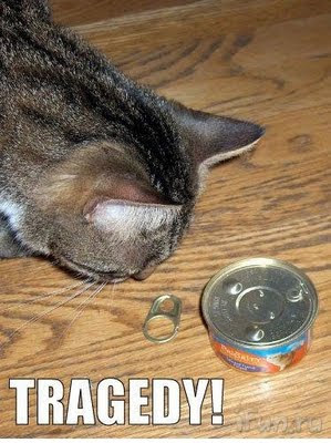 cats tragedy