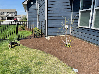 new mulch bed