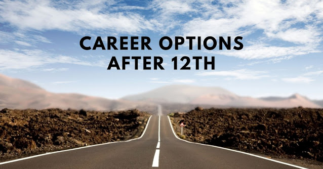 career path after 12th