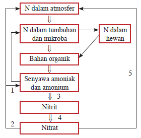 soal try out biologi SMA tahun 2019