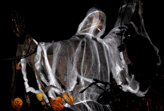 Halloween 2011 017