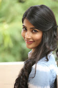 Pooja hegde gorgeous photo shoot-thumbnail-26