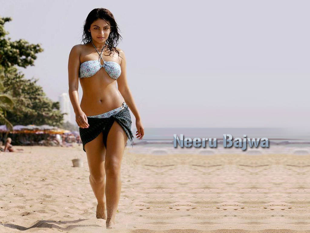 Neeru Bajwa hot wallpapers, Neeru Bajwa hot pictures, wallpaper ...