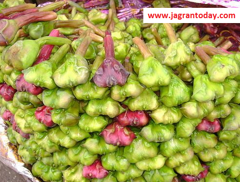 Water Chestnut is a Gift for Health