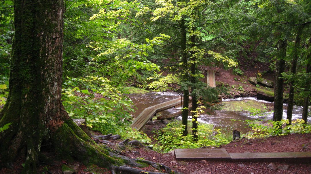 On Little Carp River Trail. 2011